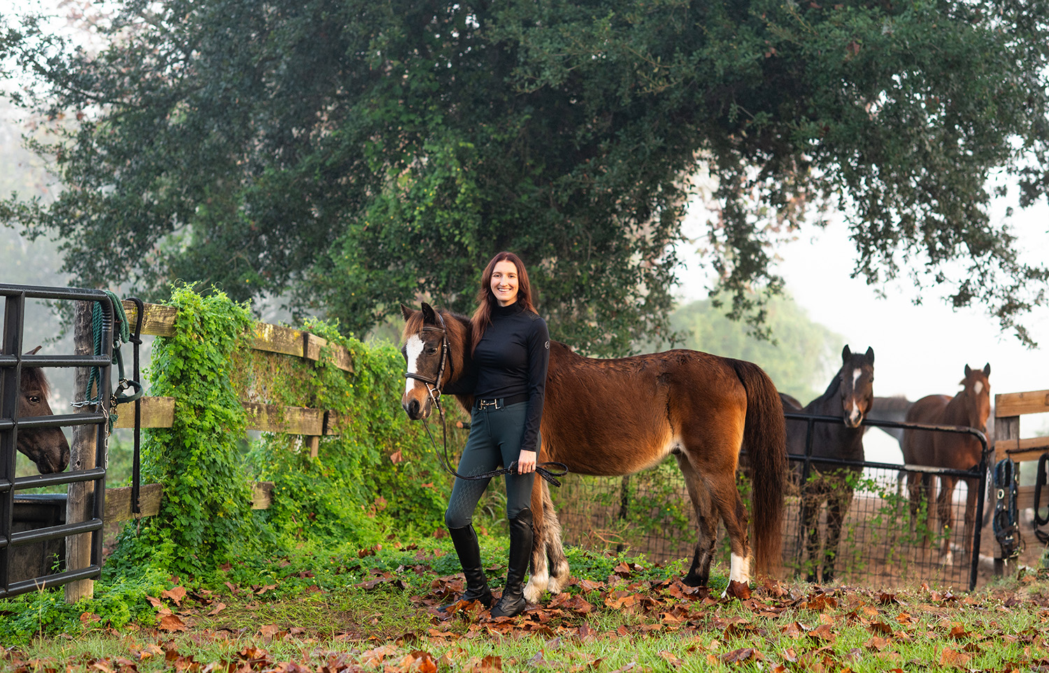 accounting-services-for-equestrians